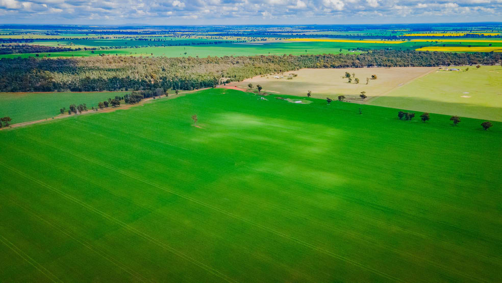 Click to view all images 80 Lucas Lane Coolamon NSW 2701 - Image 1