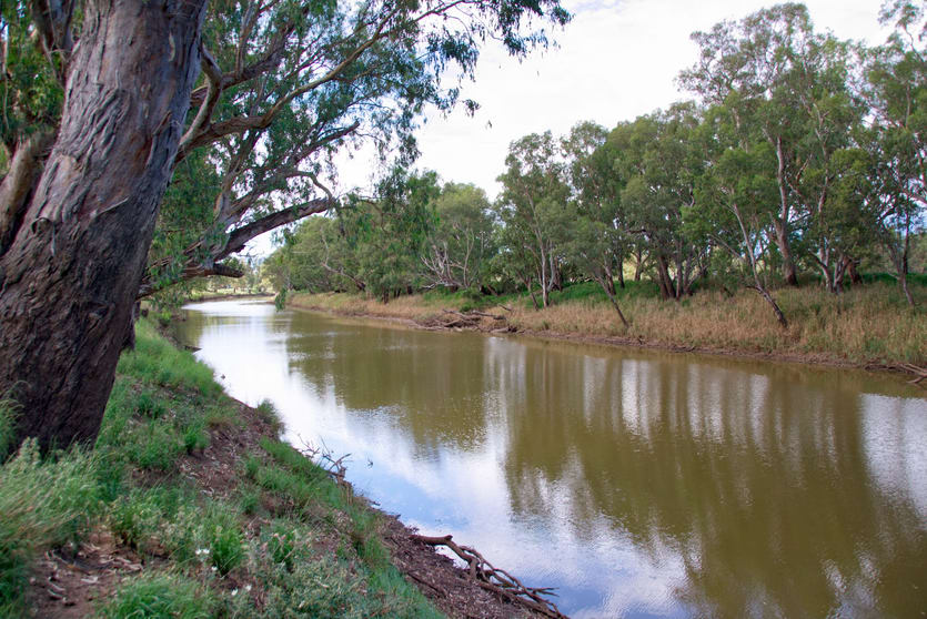 Click to view all images 2210 Old Narrabri Road Narrabri NSW 2390 - Image 2