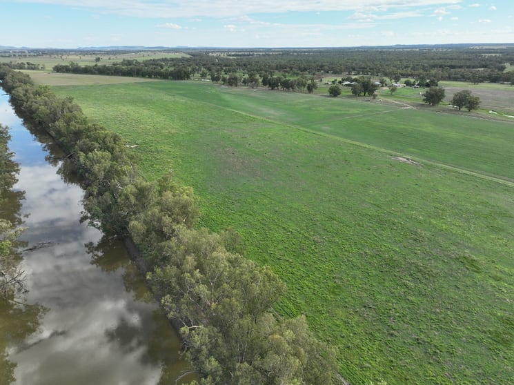 Click to view all images 2210 Old Narrabri Road Narrabri NSW 2390 - Image 3
