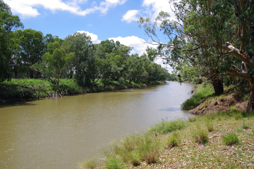 Click to view all images 2452 Old Narrabri Road Narrabri NSW 2390 - Image 3