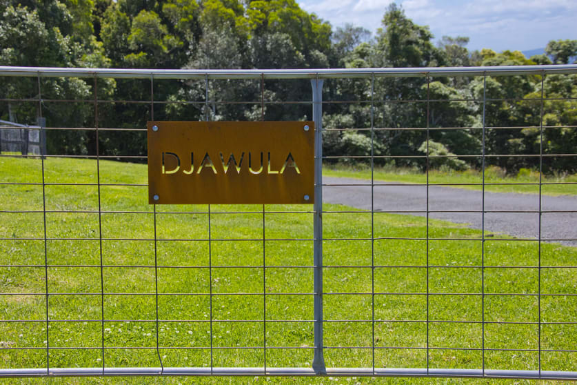 'DJAWULA' Lot 2022 Wilsons Road Saddleback Mountain NSW 2533 - Image 2