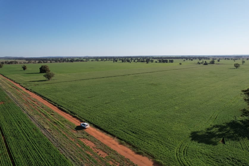 Click to view all images 1 Lisgar Lane Tullamore NSW 2874 - Image 1