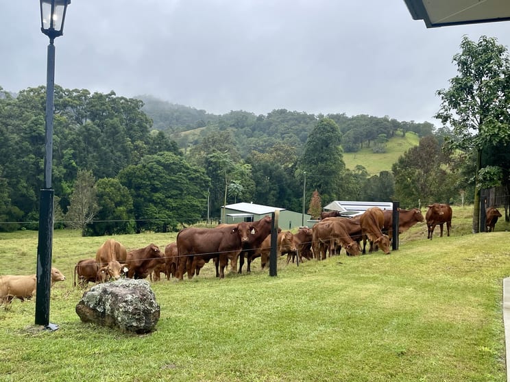 Click to view all images 7 East Coolabine Road Coolabine QLD 4574 - Image 3