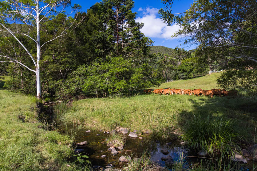 Click to view all images 7 East Coolabine Road Coolabine QLD 4574 - Image 2
