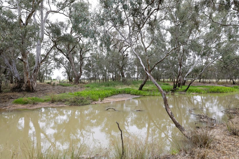 Click to view all images 83 Gribben Road Invergordon VIC 3636 - Image 2