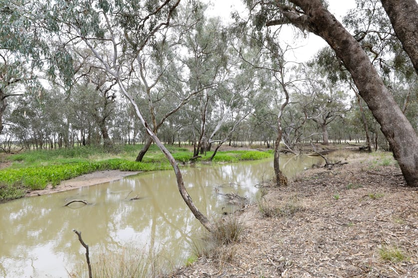 Click to view all images 83 Gribben Road Invergordon VIC 3636 - Image 3