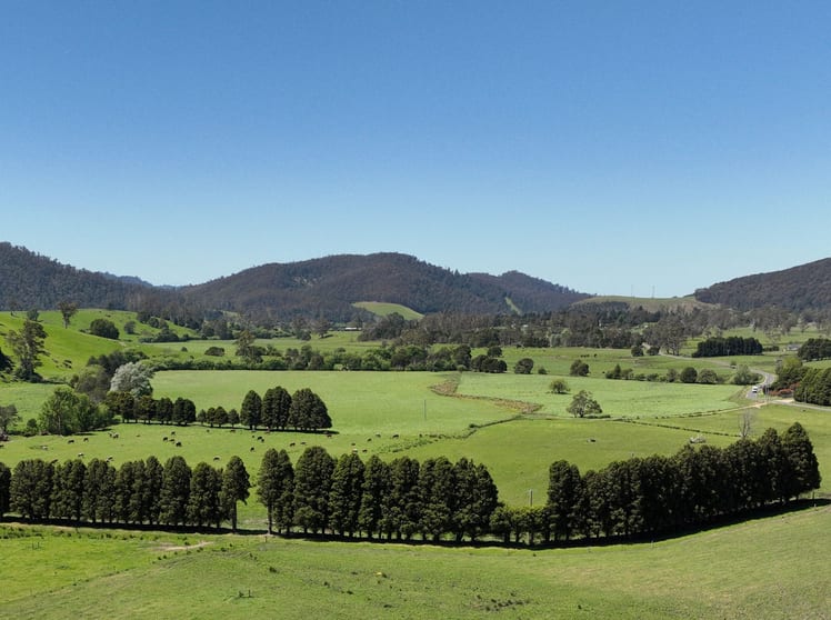 Click to view all images 569 St Columba Falls Road Pyengana TAS 7216 - Image 1