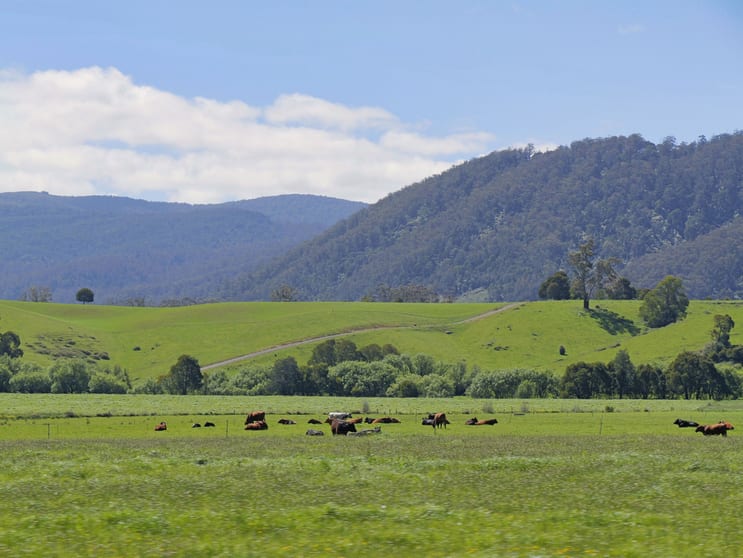 Click to view all images 569 St Columba Falls Road Pyengana TAS 7216 - Image 2