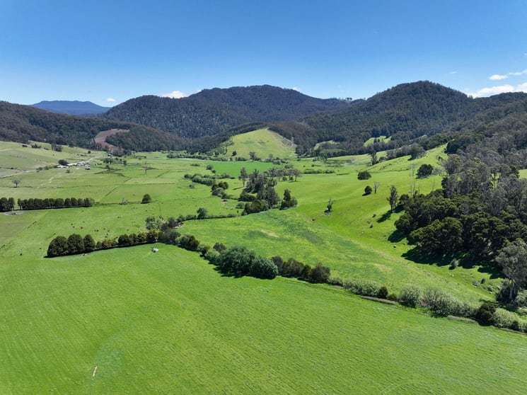 Click to view all images 569 St Columba Falls Road Pyengana TAS 7216 - Image 3
