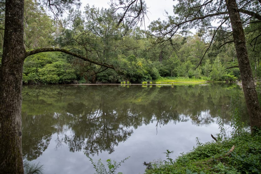 Click to view all images 145 Moonpar Road Bostobrick NSW 2453 - Image 2
