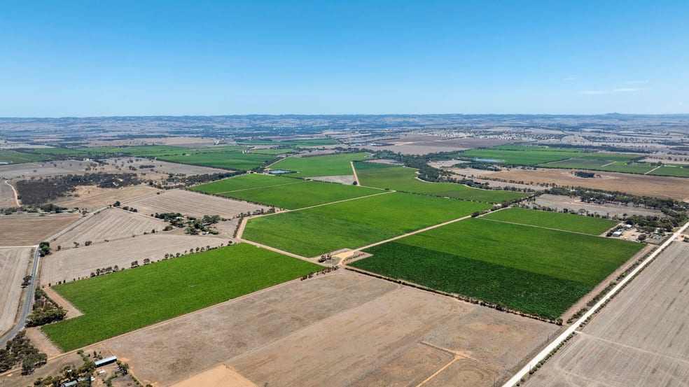 179 Milang Road Belvidere SA 5255 - Image 2