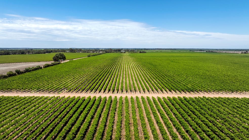 179 Milang Road Belvidere SA 5255 - Image 3