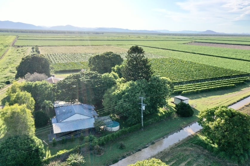 5806 Ayr Dalbeg Road Millaroo QLD 4807 - Image 3