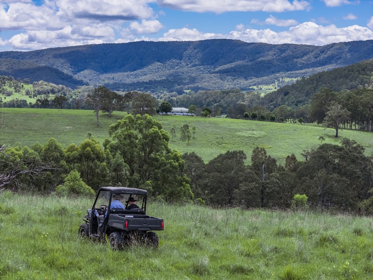 Click to view all images 739 Chichester Dam Road Dungog NSW 2420 - Image 2