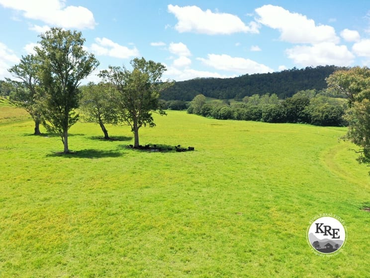 Click to view all images 1100 Iron Pot Creek & Ghinni Ghi Roads Kyogle NSW 2474 - Image 2