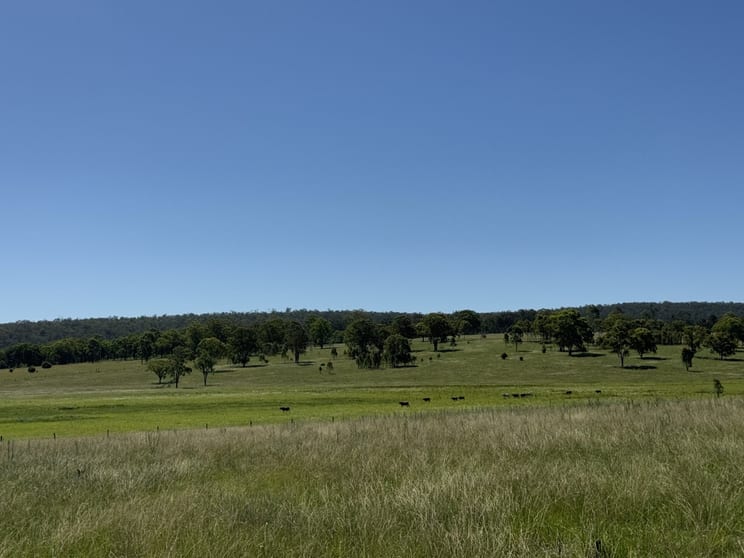 Click to view all images 207 Wongalee Road Moonford QLD 4630 - Image 3
