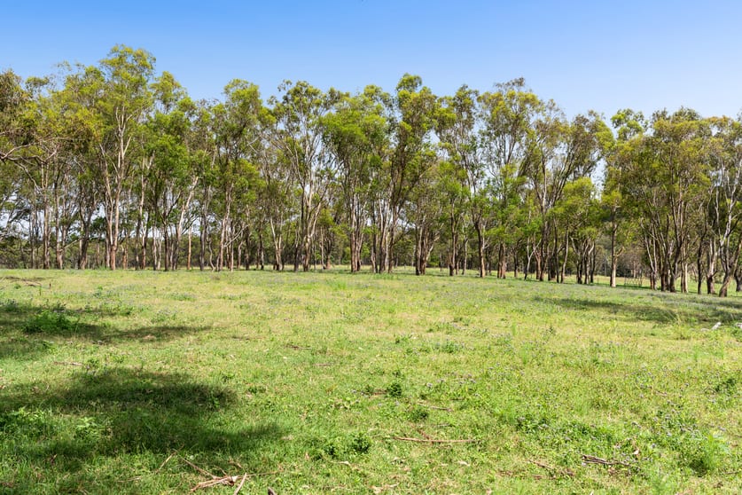 Lot 129 & 130 Firth Road Geham QLD 4352 - Image 3
