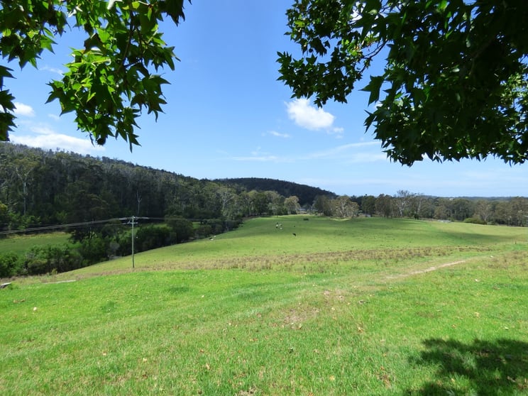Click to view all images 280 Nullica Short Cut Rd, NULLICA Via Eden NSW 2551 - Image 3