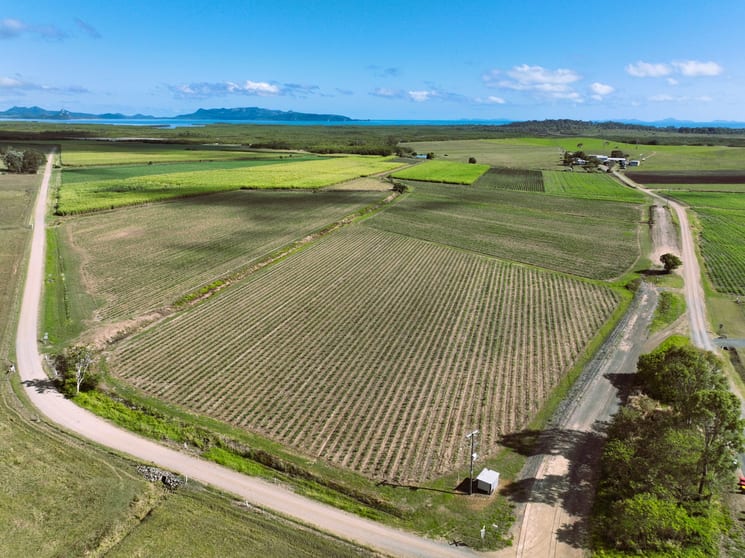 Click to view all images 314 Barrow Hill Road Habana QLD 4740 - Image 2