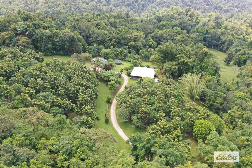 Click to view all images 611 Brooks Road Mungalli QLD 4886 - Image 3