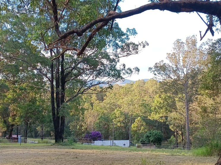 Click to view all images 132 Davis Road Wittitrin NSW 2440 - Image 1