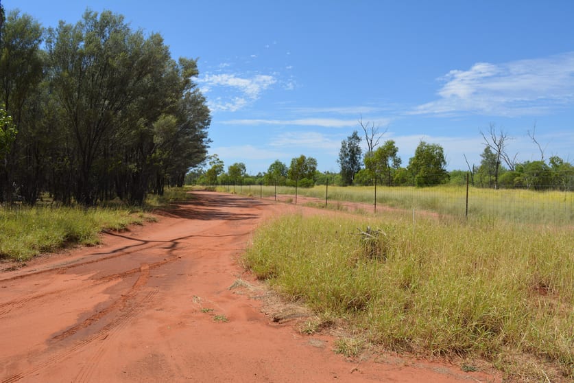 Click to view all images 57 Diamantina Developmental Road Charleville QLD 4470 - Image 2