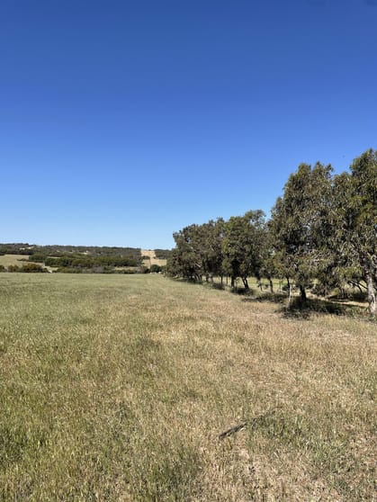 Click to view all images 80 Padbury Road Bookara WA 6525 - Image 2