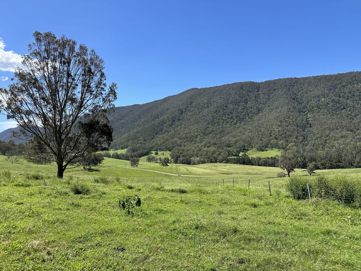 41/1118 Neringla Road Braidwood NSW 2622 - Image 3