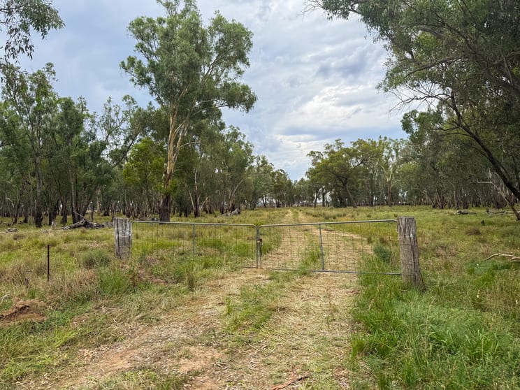 Lot 26 Bedgerebong Road Bedgerabong NSW 2871 - Image 3