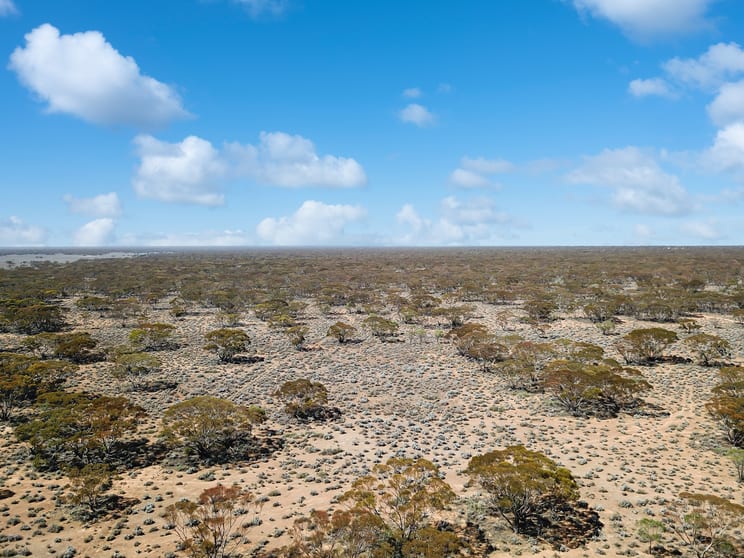 Click to view all images Lot 103 Stock Route Road Mount Mary SA 5374 - Image 3