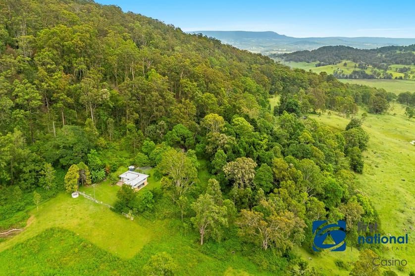 Lot 102 Duck Creek Road Old Bonalbo NSW 2469 - Image 2