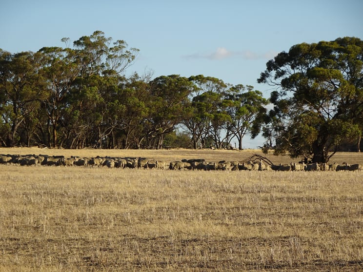 1811 Williams Kondinin Road Minigin WA 6312 - Image 2