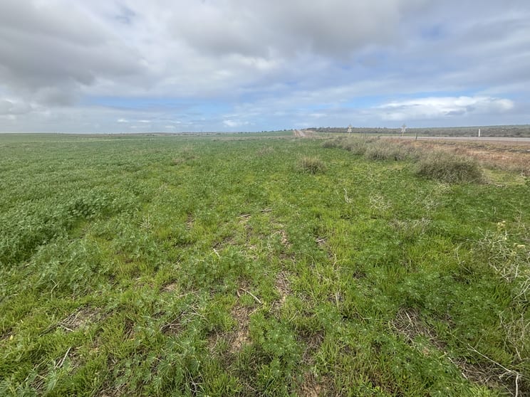 Click to view all images Lot 17 White Cliffs Road Sandy Gully WA 6535 - Image 1