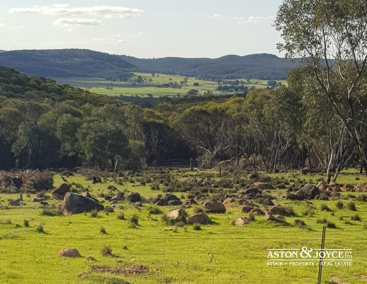 Click to view all images 147B Simpson Drive Grenfell NSW 2810 - Image 3