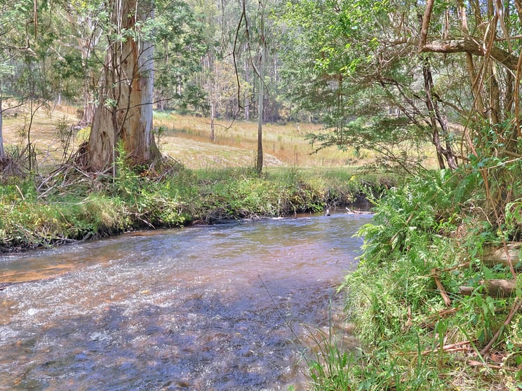 Click to view all images 384 Ridge Road Noojee VIC 3833 - Image 3