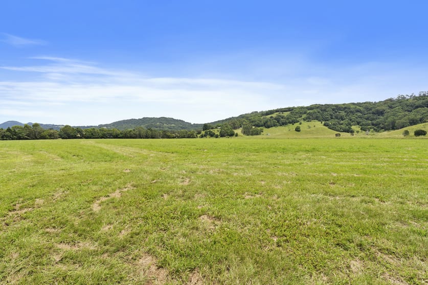 464 Bilambil Road Bilambil NSW 2486 - Image 3