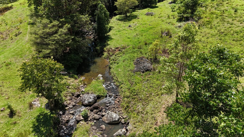 Click to view all images 3552 Nerang Murwillumbah Road Natural Bridge QLD 4211 - Image 3