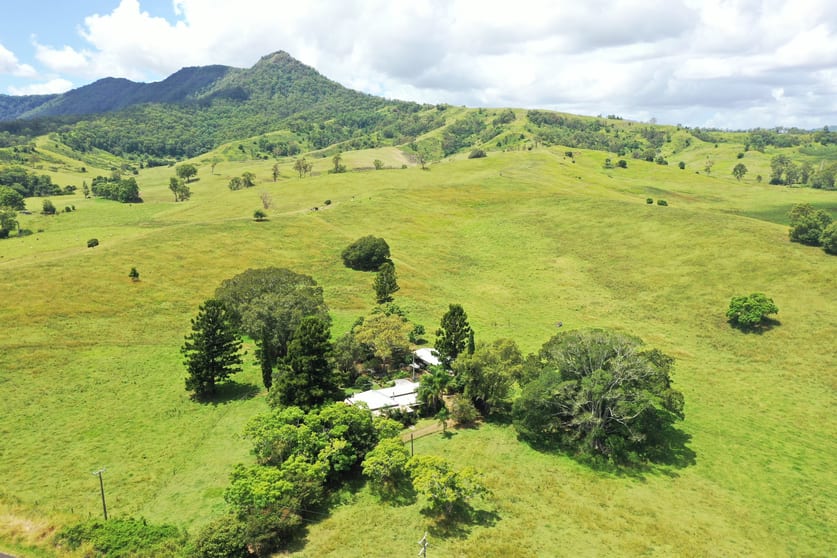 Click to view all images 1038 Summerland Way Kyogle NSW 2474 - Image 3