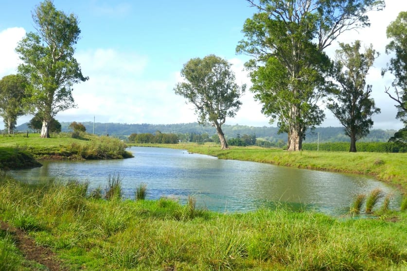 Click to view all images 1038 Summerland Way Kyogle NSW 2474 - Image 2