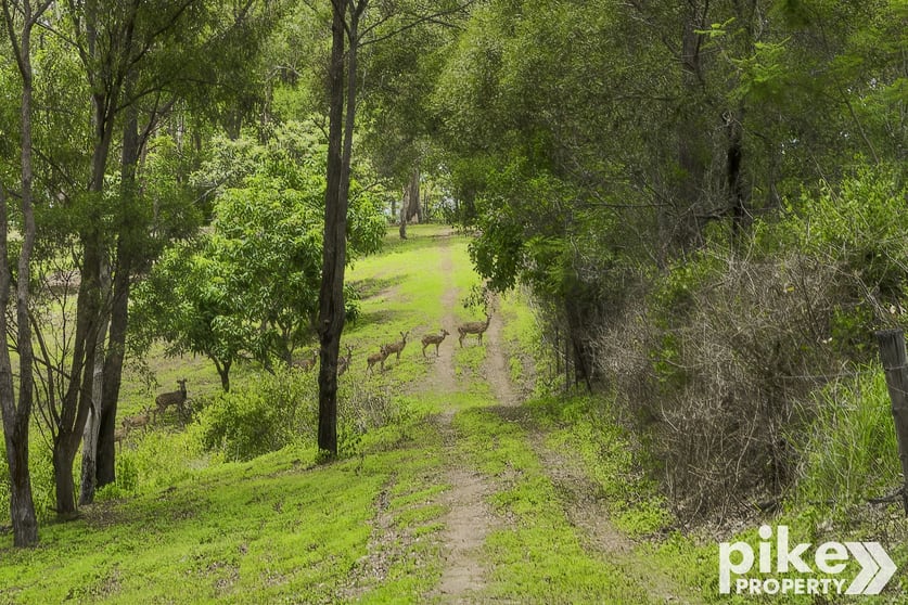 Click to view all images 238 Forest Hills Drive Morayfield QLD 4506 - Image 3