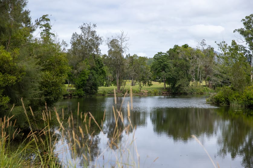 300 Martells Road Bellingen NSW 2454 - Image 1