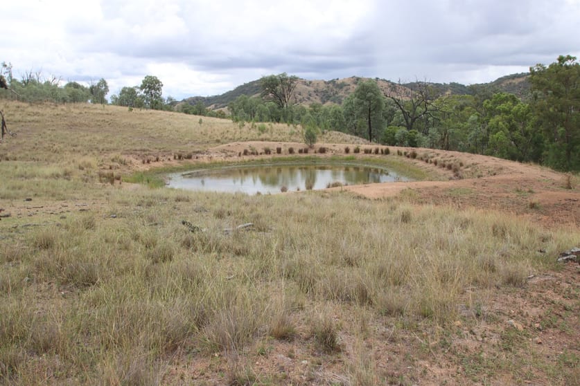 Click to view all images 1872 Mole River Road Tenterfield NSW 2372 - Image 1