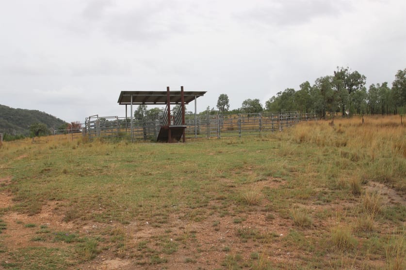 Click to view all images 1872 Mole River Road Tenterfield NSW 2372 - Image 2