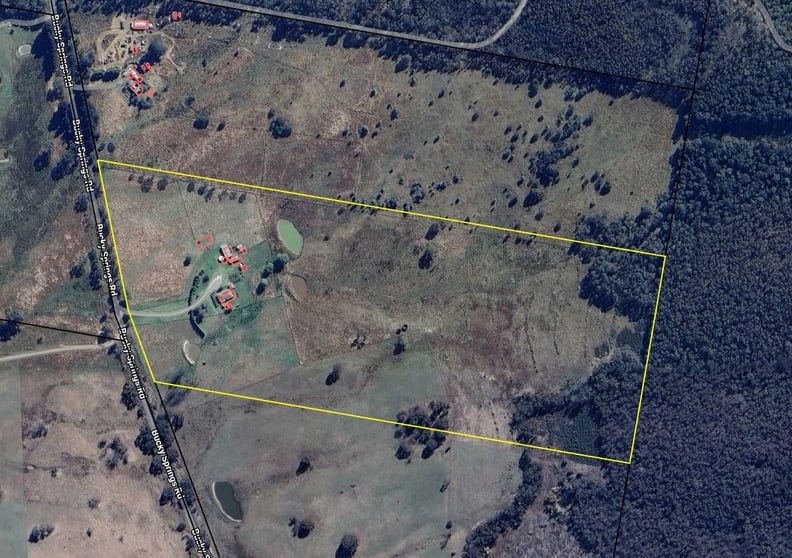 Click to view all images 309 Bucky Springs Road Bombala NSW 2632 - Image 3
