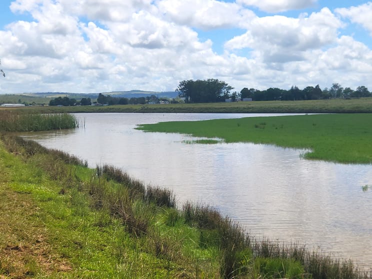 281 Wheatlands Loop Road Wheatlands QLD 4606 - Image 2