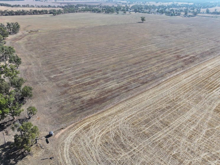 Click to view all images Lot 1 Korong Vale-Kinypanial Road Korong Vale VIC 3520 - Image 2