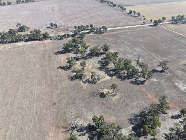 Click to view all images CA 39 Sec 4 Borung-Hurstwood Road Borung VIC 3518 - Image 2