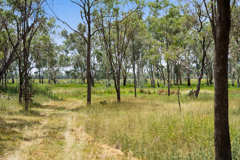 Click to view all images "Keheler Park" Lot89 Springate Lane Pratten QLD 4370 - Image 2