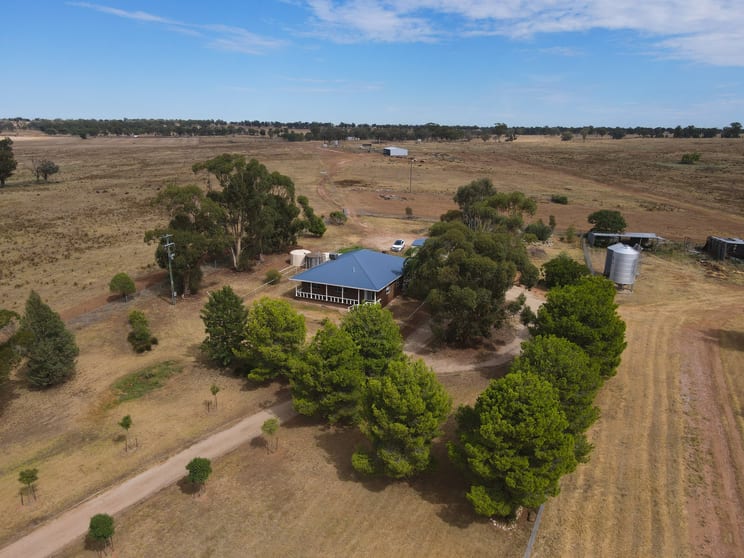 1127 Newell Highway Forbes NSW 2871 - Image 3