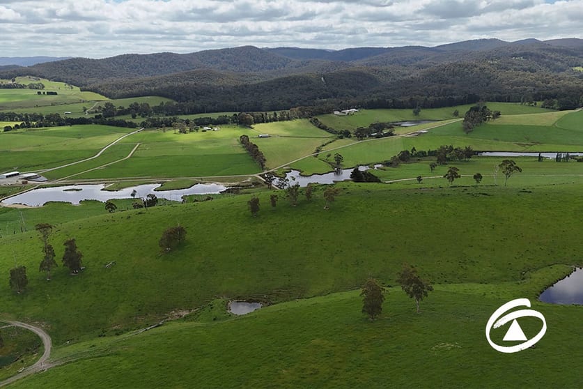 Click to view all images 560 Jacksons Track Jindivick VIC 3818 - Image 3